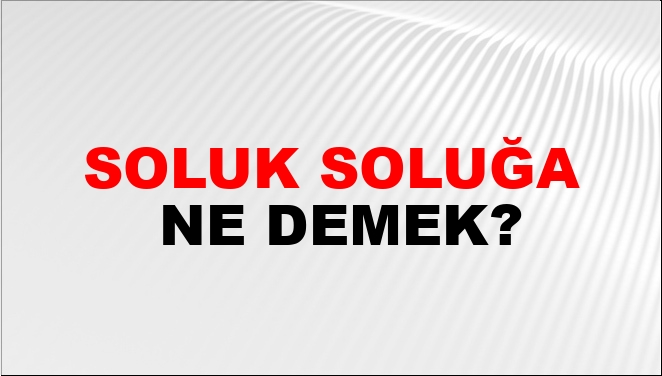 Soluk Soluğa Nasıl Yazılır NTV Haber