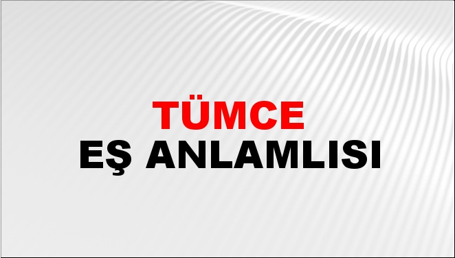 canlı uçak takip toplu porno