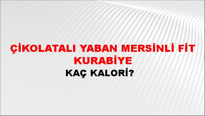 Çikolatalı Yaban Mersinli Fit Kurabiye + kaç kalori