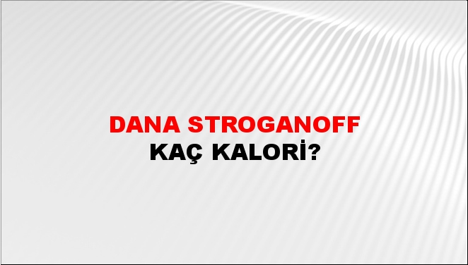 Dana stroganoff + kaç kalori