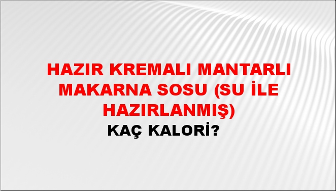 Hazır Kremalı Mantarlı Makarna Sosu (Su ile hazırlanmış)