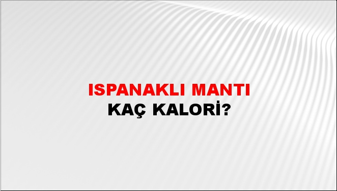 Ispanaklı Mantı + kaç kalori