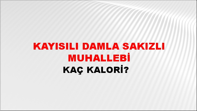 Kayısılı Damla Sakızlı Muhallebi + kaç kalori