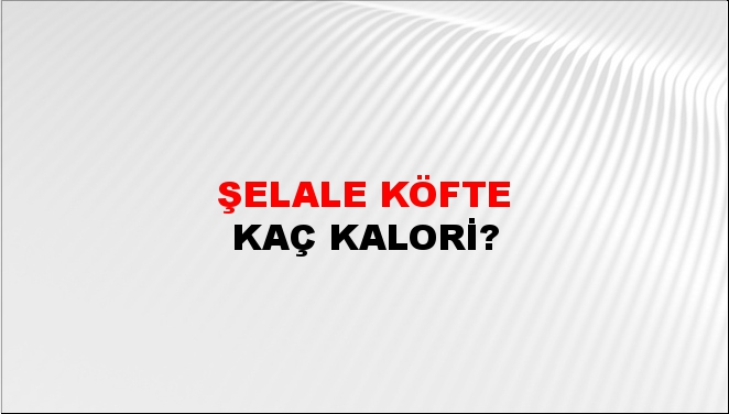 Şelale Köfte + kaç kalori