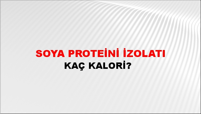 Soya Proteini İzolatı