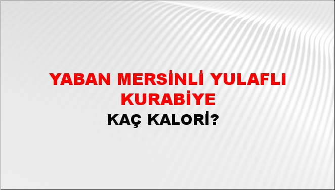 Yaban Mersinli Yulaflı Kurabiye + kaç kalori