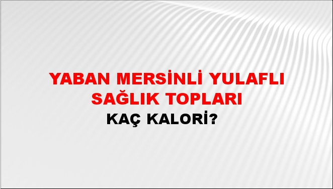 Yaban Mersinli Yulaflı Sağlık Topları + kaç kalori