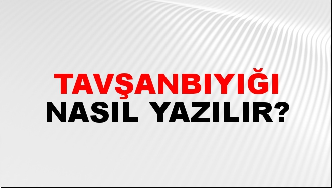 Tavşanbıyığı Nasıl Yazılır?
