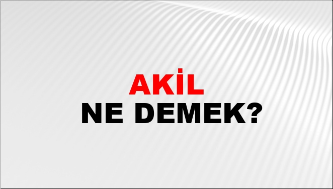 Akil Ne Demek?