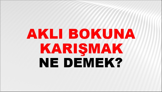 Aklı Bokuna Karışmak Ne Demek?