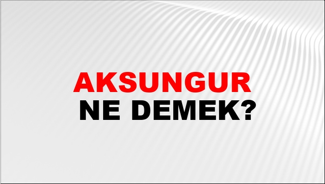 Aksungur Ne Demek?