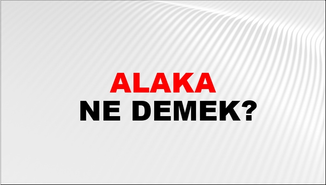 Alaka Ne Demek?