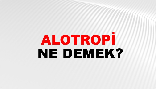 sarn zenci sex gü öğrenci işleri