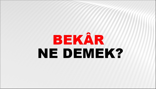 Bekâr Ne Demek?