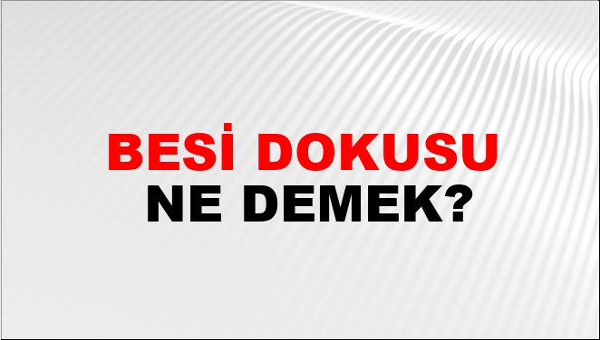 Besi Dokusu Nasıl Yazılır?
