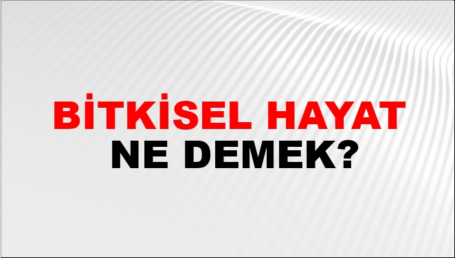 Hayat ne demek vikipedi?