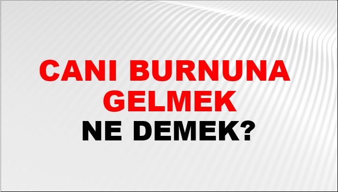 Canı Burnuna (Veya Burnundan) Gelmek Ne Demek?
