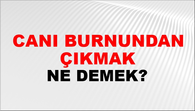 Canı Burnundan Çıkmak Ne Demek?