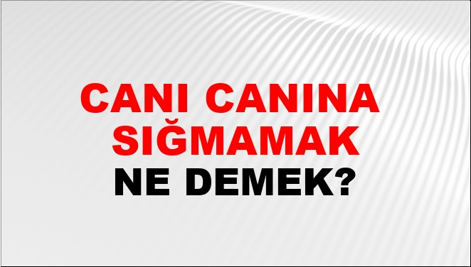 Canı Canına (Veya İçine) Sığmamak Ne Demek?