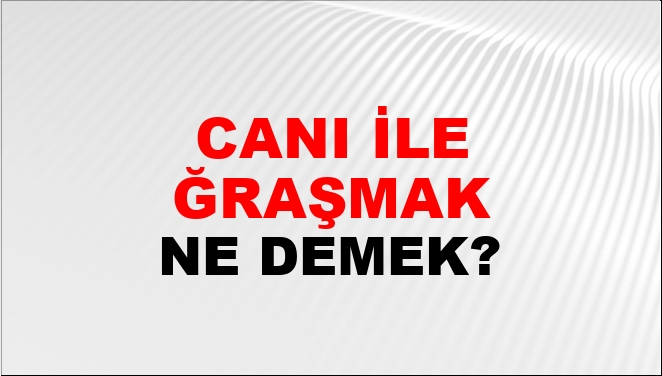 Canı İle Uğraşmak Ne Demek?