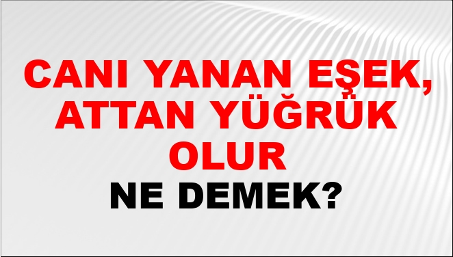 Canı Yanan Eşek, Attan Yüğrük Olur Ne Demek?