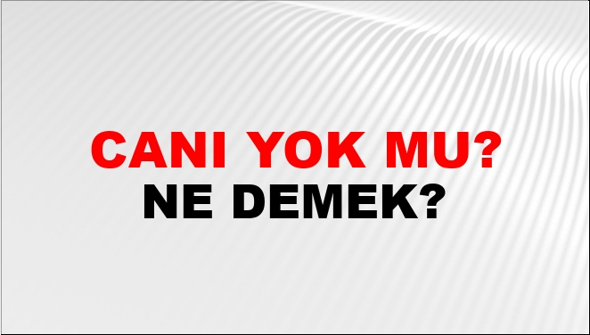 Canı Yok Mu? Ne Demek?