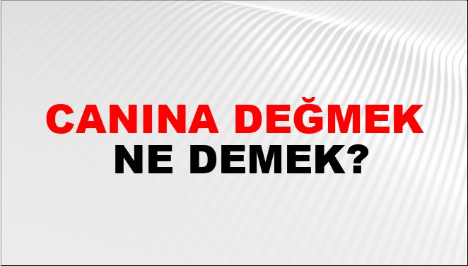 Canına Değmek Ne Demek?