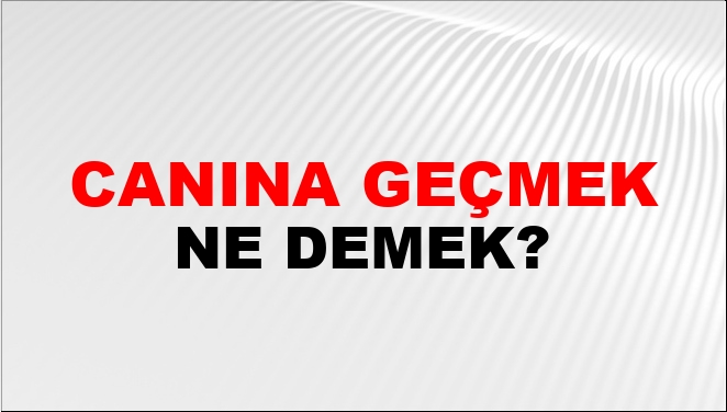 Canına Geçmek (Veya İşlemek Veya Kâr Etmek) Ne Demek?
