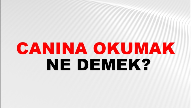 Canına Okumak Ne Demek?