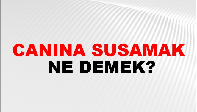 Canına Susamak Ne Demek?