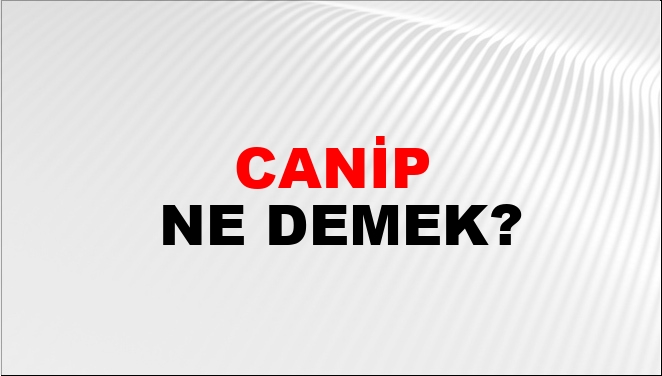 Canip Eş Anlamlısı?