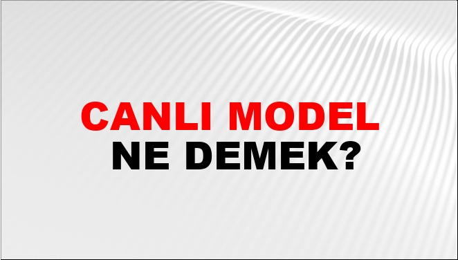 Canlı Model Nasıl Yazılır?