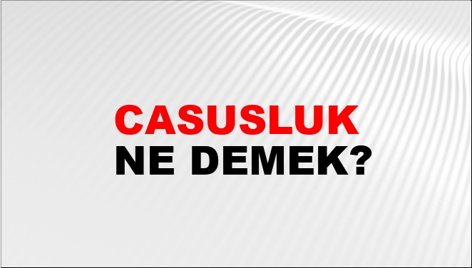 Casusluk Ne Demek?