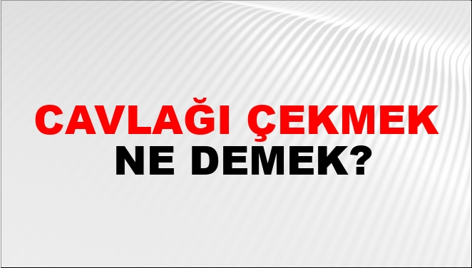 Cavlağı Çekmek Ne Demek?