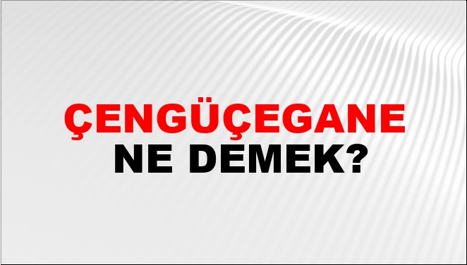 yapay vajina nasl mersn gay