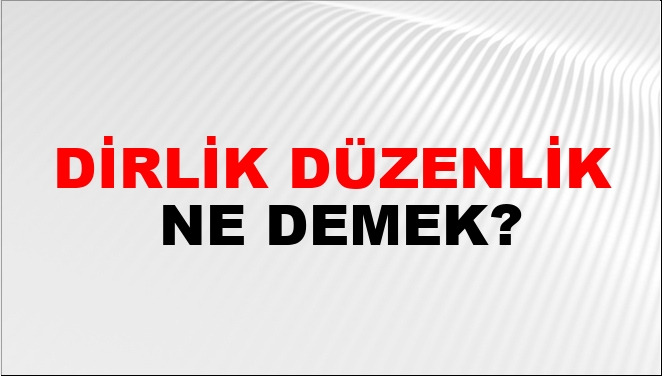 Dirlik Düzenlik Nasıl Yazılır?