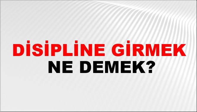 Disipline Girmek Nasıl Yazılır?