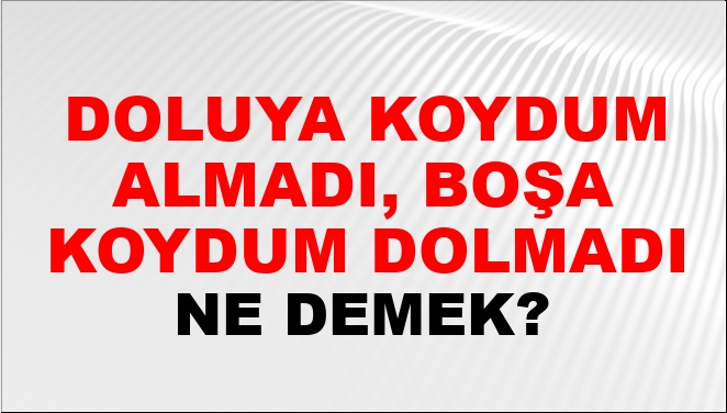 Doluya Koydum Almadı, Boşa Koydum Dolmadı Ne Demek?