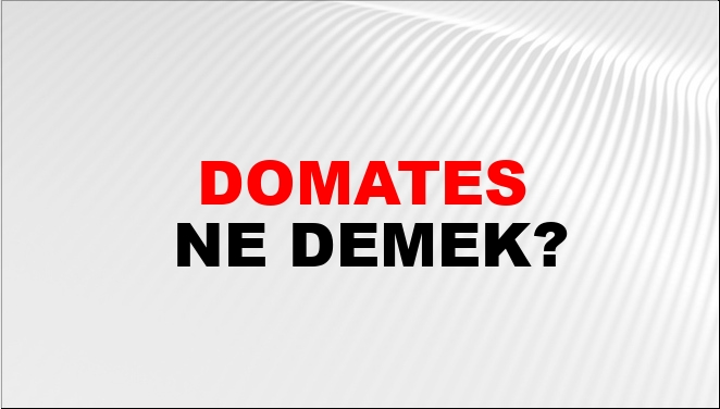 Domates Ne Demek?