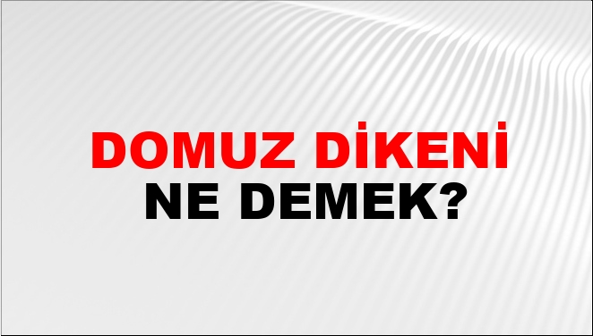 Domuz Dikeni Nasıl Yazılır?