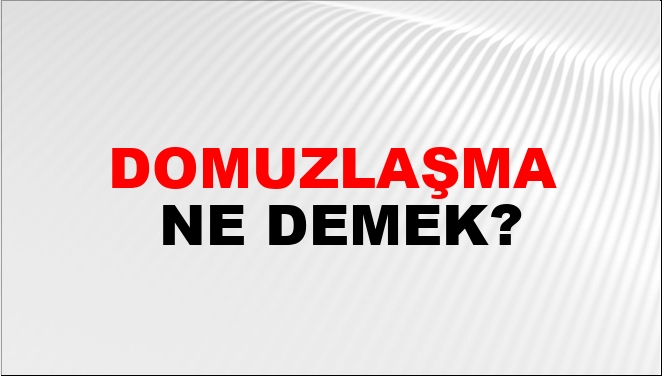 Domuzlaşma Nasıl Yazılır?