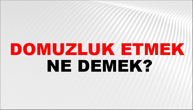 Domuzluk Etmek Nasıl Yazılır?