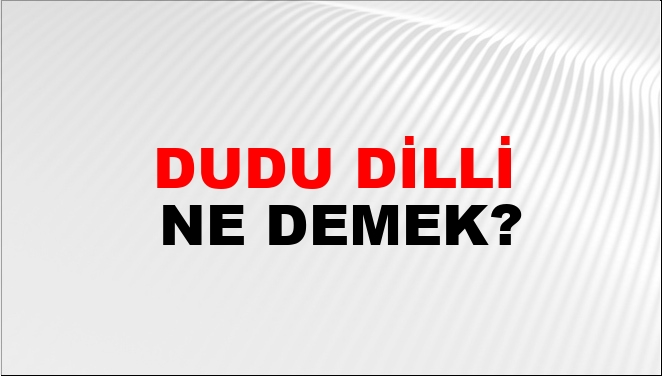 Dudu Dilli Ne Demek?