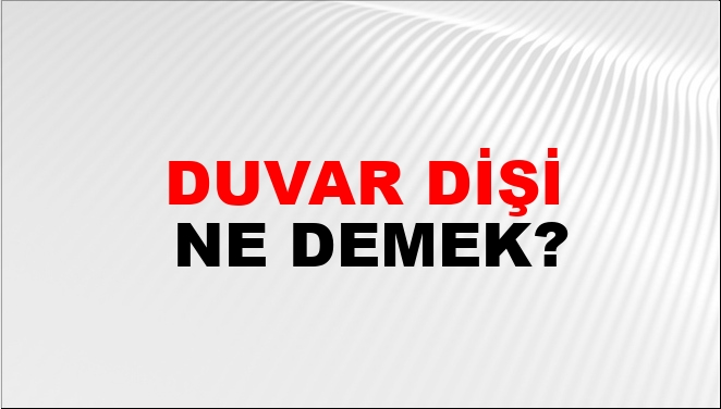 Duvar Dişi Ne Demek?