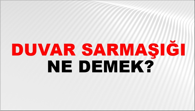 Duvar Sarmaşığı Ne Demek?