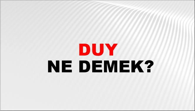 Duy Ne Demek?