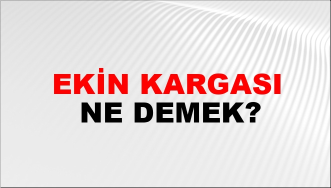 Ekin Kargası Nasıl Yazılır?