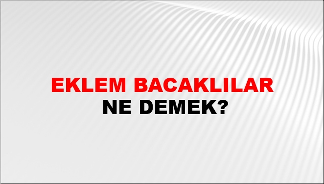 Eklem Bacaklılar Nasıl Yazılır?