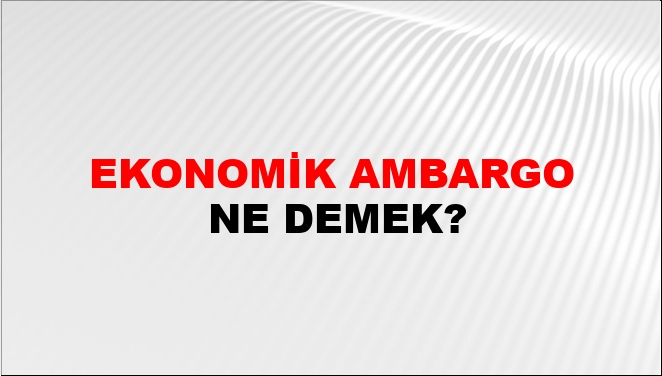 Ekonomik Ambargo Nasıl Yazılır?