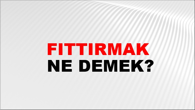 250 lira elysium nedir